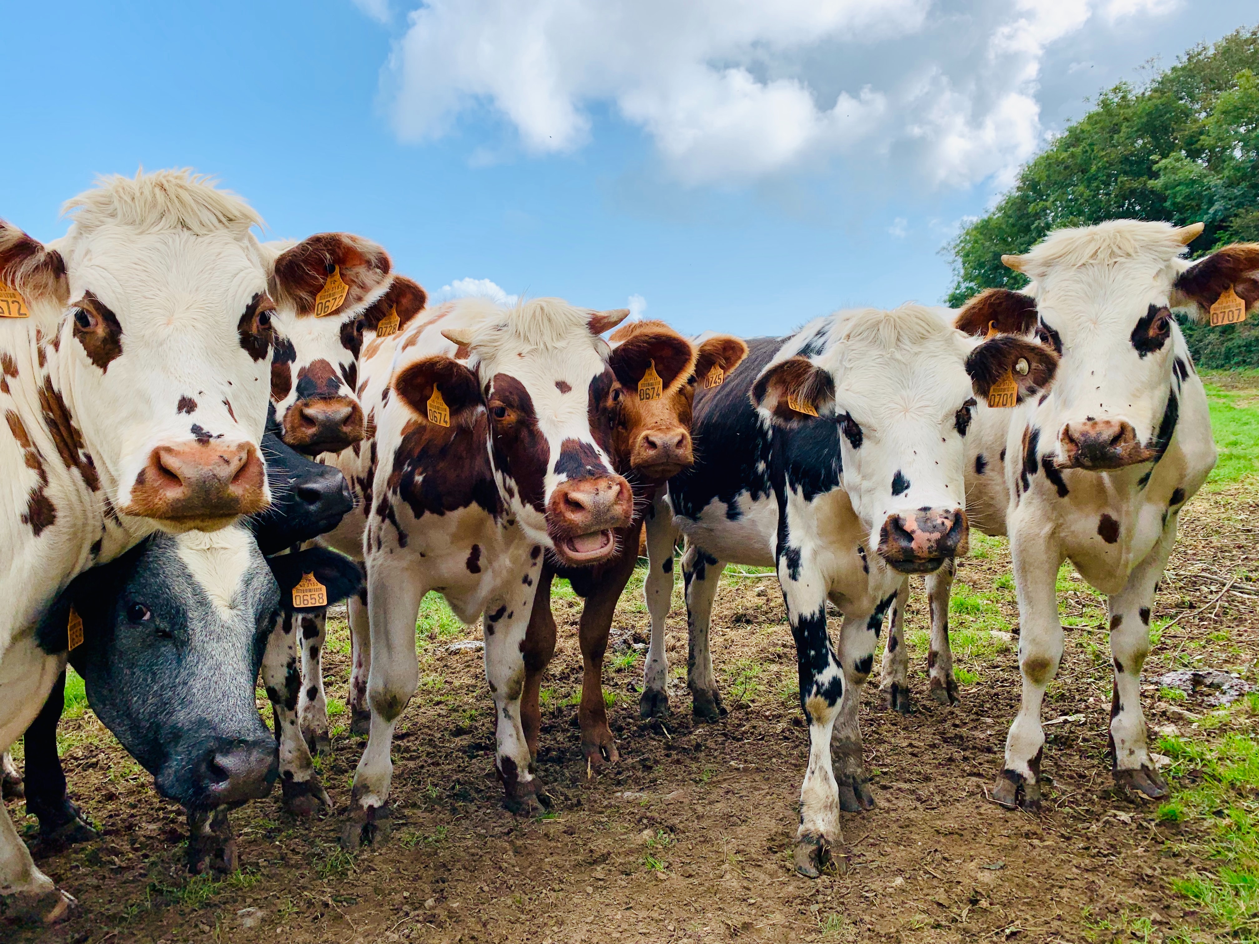 Representative image (Photo courtesy of unsplash)